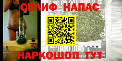 твердый Гатчина